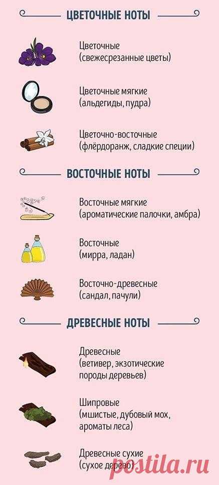 Руководство для тех, кто хочет разбираться в парфюме (9 картинок) » RadioNetPlus.ru развлекательный портал