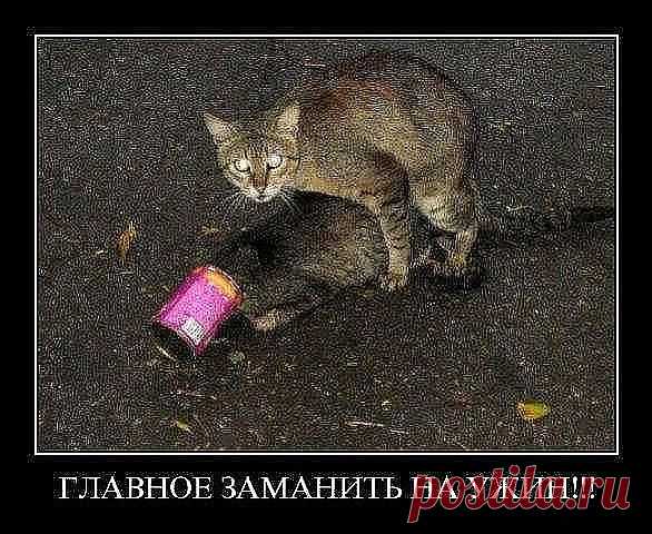 УЧИСЬ!