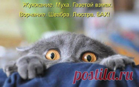 Плоский живот 5 минут  в день , за 10 дней.