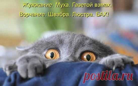 Плоский живот 5 минут  в день , за 10 дней.