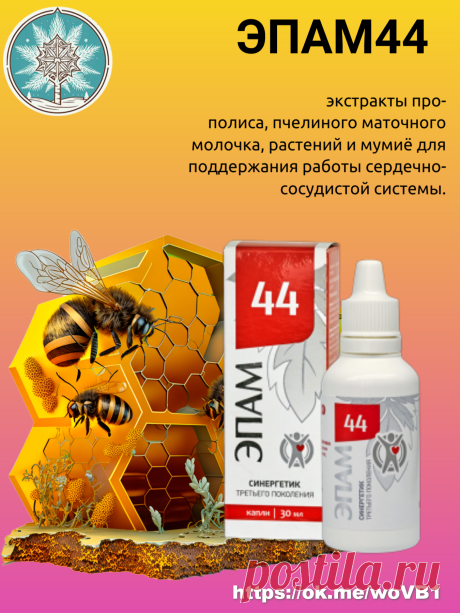 ЭПАМ 44 — источник активных веществ, которые способствуют поддержке сердечно-сосудистой системы и оказывают общеукрепляющее действие на организм. В состав вошли натуральные компоненты, которые используют при профилактике болезней сердца и гипертонии. Они способствуют нормализации артериального давления и снижению уровня холестерина в крови.