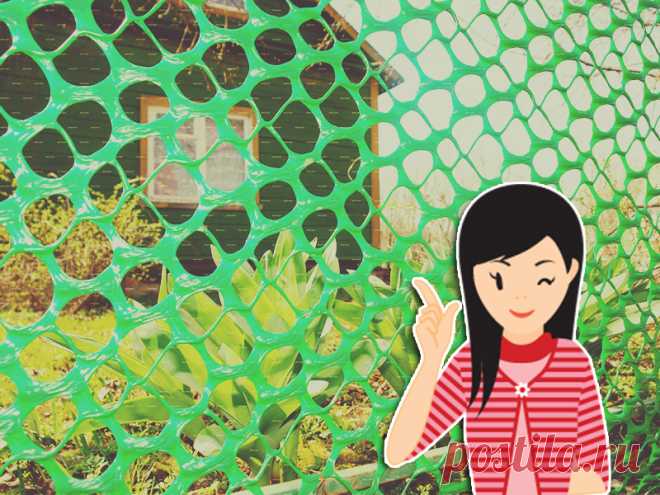 Фасадная сетка для забора на даче: виды, особенности, порядок монтажа Фасадная сетка для забора на даче: основные виды и характеристики пластикового полотна, достоинства и недостатки. Порядок монтажа. Разновидности и характеристики металлической фасадной сетки для забора. Преимущества и недостатки. Порядок монтажа. Фотопримеры заборов для частного дома. Стоимость материала.