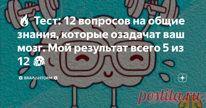 🔥 Тест: 12 вопросов на общие знания, которые озадачат ваш мозг. Мой результат всего 5 из 12 😱