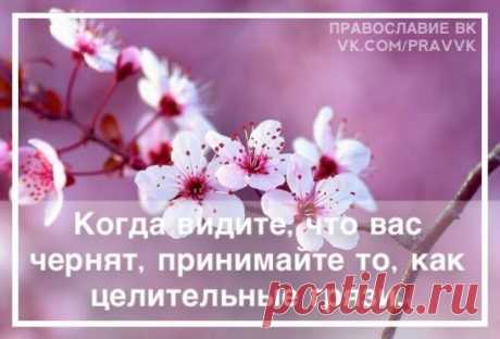 Cейчас время осуждения, неприязни, зависти... Жалейте друг друга, несмотря ни на кто он, что он. Я уже боюсь сказать "любите", слишком высоко – жалейте. 
Игумен Никон (Воробьёв).