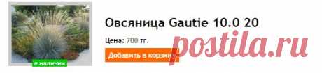 Купить Овсяница Gautie 10.0 20 - Алматы, Казахстан