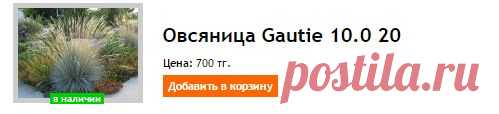 Купить Овсяница Gautie 10.0 20 - Алматы, Казахстан