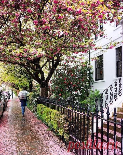 #Кенсингтон@discoverygroup