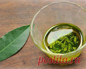 Чистка организма лавровым листом: рецепты - В здоровом теле — здоровый дух