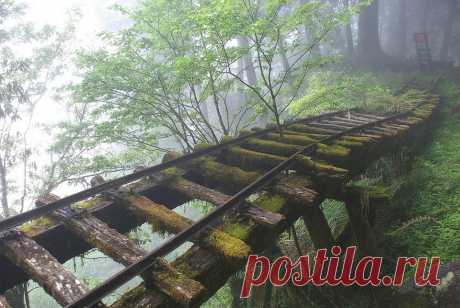 12 Posti paura ma stupefacenti abbandonate nel mondo | One Big Photo