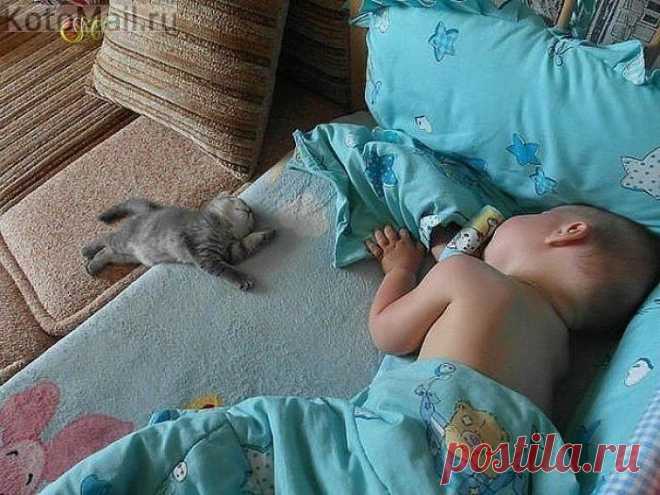 Утомились малыши