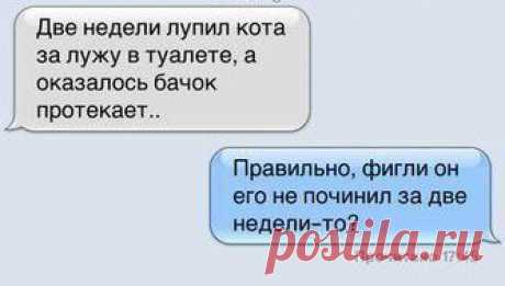 Новости