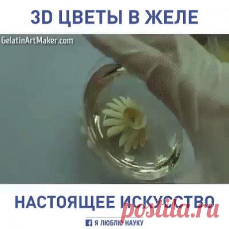 (5) Одноклассники