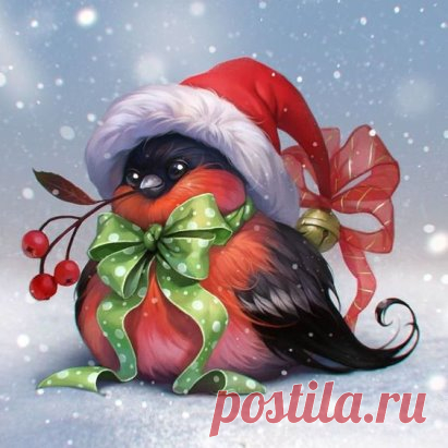 (48) Одноклассники