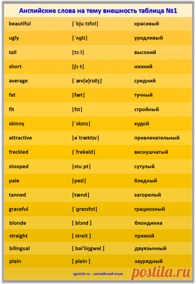 Английские слова на тему "Внешность".