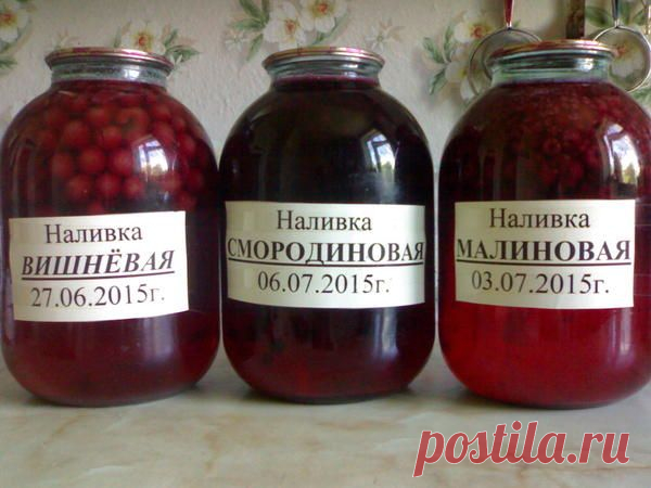 Домашняя фруктовая, ягодная наливочка / 7dach.ru
