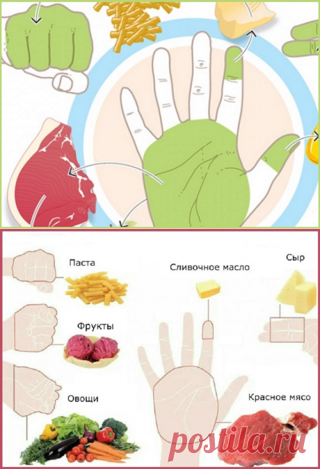 Объясняем на пальцах;)) Сколько еды нужно съедать за раз? — Диеты со всего света