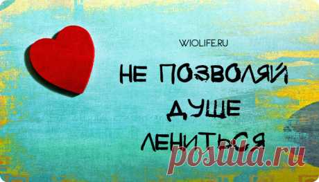 Сильное стихотворение: «Не позволяй душе лениться»
Это стихотворение, написанное Николаем Заболоцким в 1958 году ничуть не потеряло своей...
Читай дальше на сайте. Жми подробнее ➡