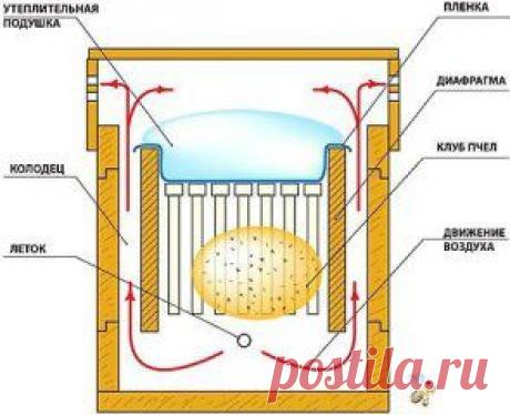 Одноклассники