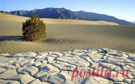 пустыня