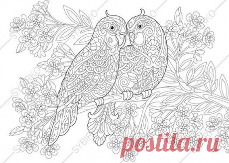 Coloring pages. Budgie Parrots. Birds in Love. Happy Valentines Day greeting card idea. Animal coloring book for adults. Instant Download.  All items are DIGITAL DOWNLOADs !!! No physical product will be sent through the mail. After purchasing you will receive an INSTANT DOWNLOAD of coloring pages  You GET: ✔ Coloring pages in JPG and PDF formats ✔ High quality ✔ High resolution ✔ Print size suitable for A4 or A3 paper formats ✔