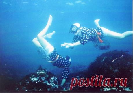 Никаких мужчин: исключительно женская профессия ныряльщиц в Японии | Краше Всех