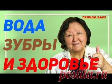 Вода, зубры и здоровье