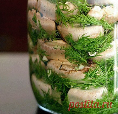 МАЛОСОЛЬНЫЕ ШАМПИНЬОНЫ НА СКОРУЮ РУКУ - МИРОВОЙ РЕЦЕПТИК