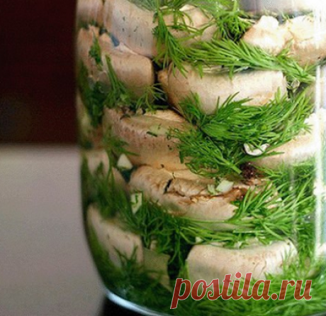 МАЛОСОЛЬНЫЕ ШАМПИНЬОНЫ НА СКОРУЮ РУКУ - МИРОВОЙ РЕЦЕПТИК