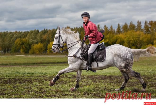 Фото: Конкур. Фотограф Сан Саныч. Спорт. Фотосайт Расфокус.ру