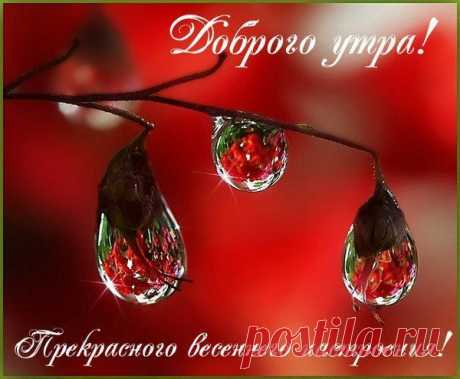 Вы проживите день с наслаждением,
С хорошим, добрым настроением!
Желаю только позитива,
Общения, встреч и креатива,
Улыбок, страсти, красоты
И исполнения мечты!)))