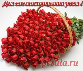 Женщина, дарующая жизнь...
Ничего прекрасней нет на свете!
Поколения связующая нить.
Будущее наше — наши дети!

Материнская любовь — она слепа.
И свята она одновременно,
И неизмерима у нее цена.
Материнская любовь — она бесценна!

В этот праздничный и самый ясный день
Принимайте, мамы, поздравления.
Счастья вам в День матери, любви,
Крепкого здоровья и терпения!