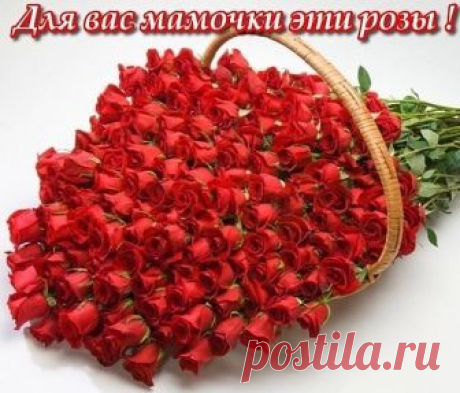 Женщина, дарующая жизнь...
Ничего прекрасней нет на свете!
Поколения связующая нить.
Будущее наше — наши дети!

Материнская любовь — она слепа.
И свята она одновременно,
И неизмерима у нее цена.
Материнская любовь — она бесценна!

В этот праздничный и самый ясный день
Принимайте, мамы, поздравления.
Счастья вам в День матери, любви,
Крепкого здоровья и терпения!