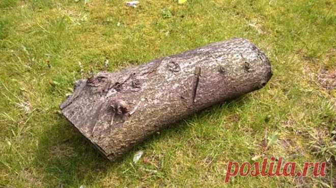 Надежный тайник