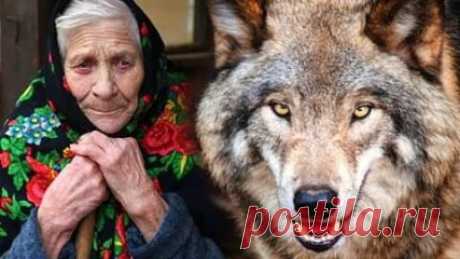 Бабушка Тамара однажды сильно заболела и её внучка, тоже Тамара - восемнадцатилетняя питерская студентка, отодвинула все дела и примчалась спасать бабушку.
Доживала бабушка в тридцати километрах от Москвы, в выцветшем деревянном домике, ещё довоенной постройки. Огородик, колодец, навес, под которым дед хранил битые кирпичи и ржавые колёса от Москвича.
Все это выглядело довольно грустно и безнадёжно. А ведь когда-то, когда Тома приезжала сюда в детстве и дедушка был ещё жив...