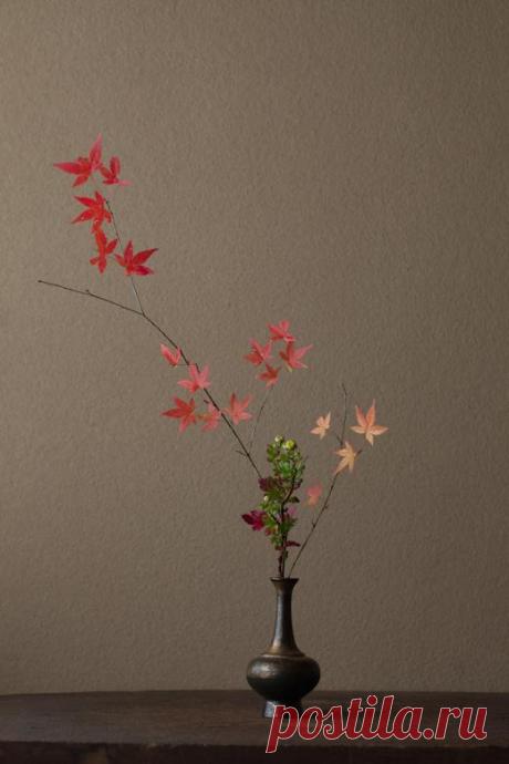Икебана - цветы которые живут