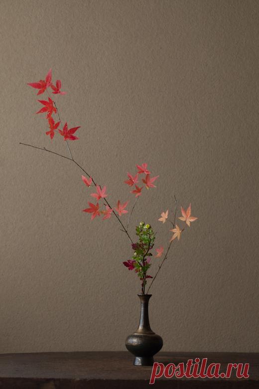 Икебана - цветы которые живут