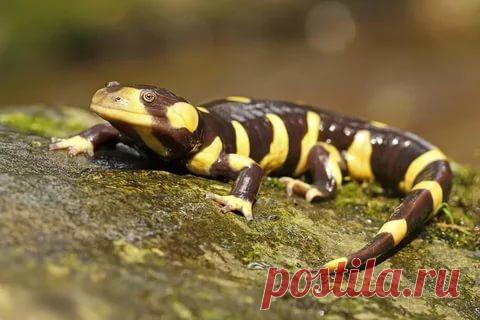 страницы которые создавались константина валерьевича сосницкого краснодар: 10 тыс изображений найдено в Яндекс.Картинках