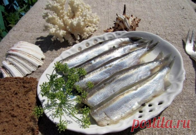 Очень вкусная дешевая рыба Все мы наслышаны о том, как полезна семга, форель, лосось. Но заметим, что только выросшая на воле, а не та, что выращивается в специальных бассейнах и питается комбикормом. Эксперты утверждают, что у…