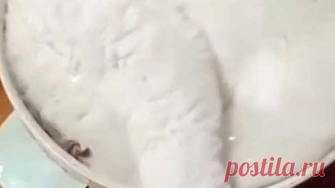 А у вас молоко сбежало