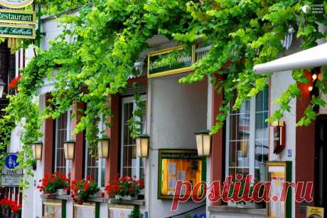 Рюдесхайм-на-Рейне - город в Германии, в земле Гессен - Путешествуем вместе