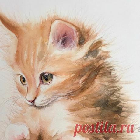 Художница Maria Raczynska и ее верные друзья