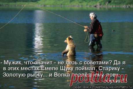рыболовы...   этот ученый прожил с медведями пять лет...