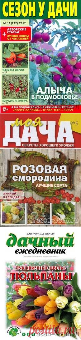 Сад, огород, дача. » Страница 2