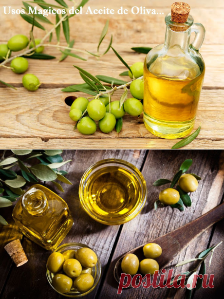 Usos Mágicos que le puedes dar al Aceite de Oliva