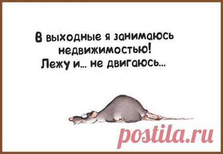 Мода пышных форм - Одежда больших размеров