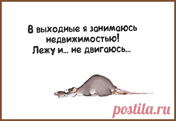 Мода пышных форм - Одежда больших размеров