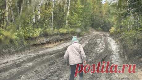В Иркутской области несколько поселков оказались &quot;утоплены в грязи&quot; из-за дождей. Несколько иркутских поселков оказались утоплены в грязи , из-за чего детей перевели на дистанционное обучение, а два населенных пункта остались без хлеба. Об этом сообщается в Telegram-канале &quot;БодАйбо city&quot;. Согласно материалу ...