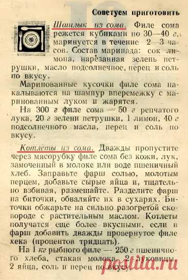 Шашлык из сома. Котлеты из сома