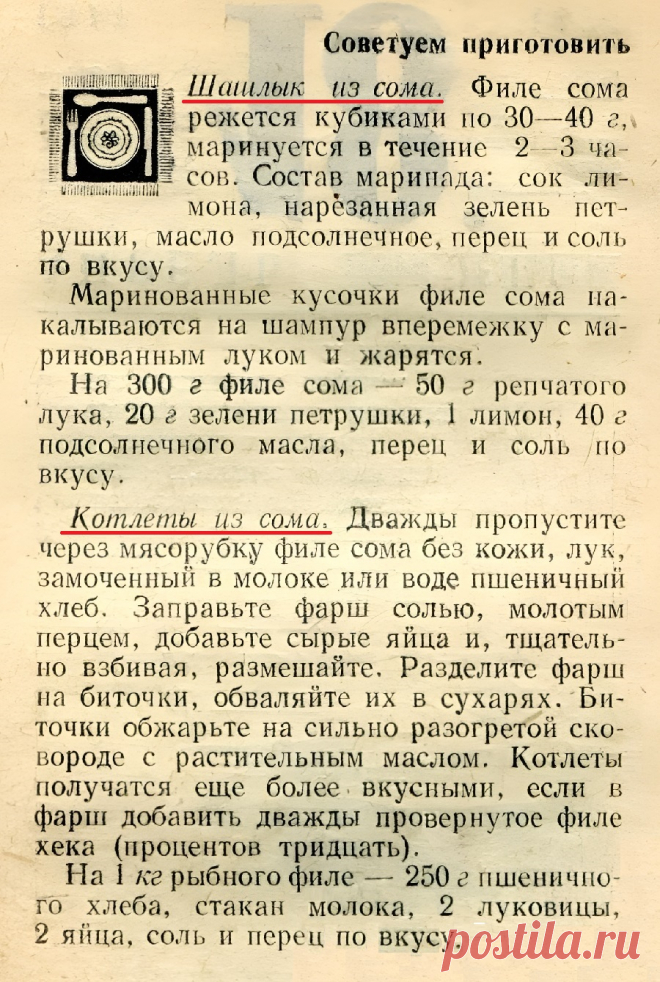 Шашлык из сома. Котлеты из сома