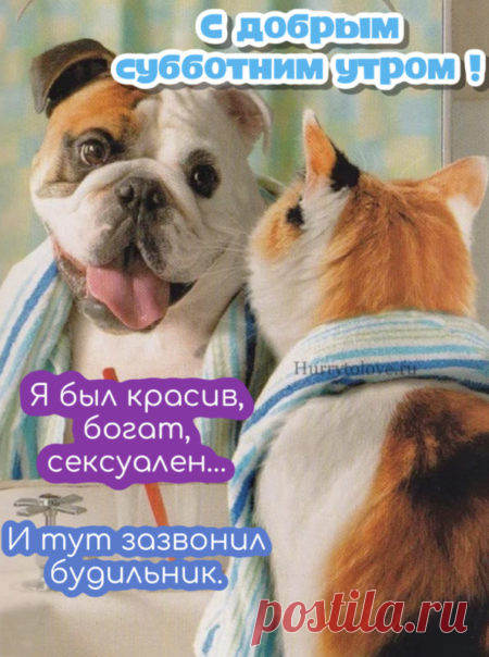 Картинки доброе субботнее утро: красивые открытки с пожеланиями